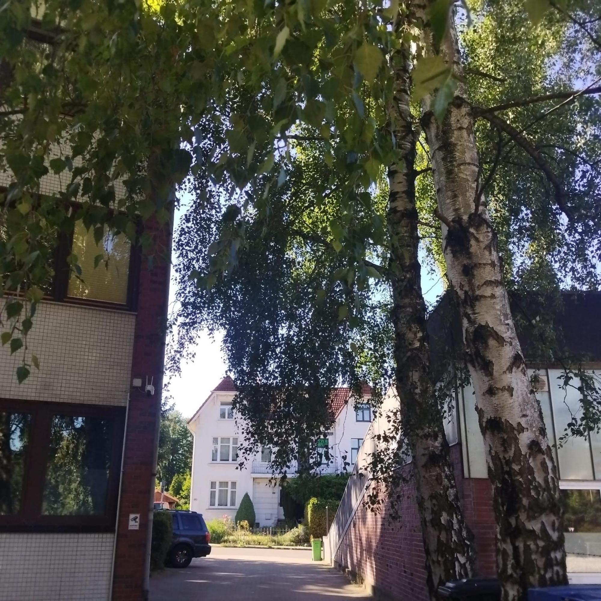 Monteurzimmer In Hamburg West Bei Hansezimmer Εξωτερικό φωτογραφία
